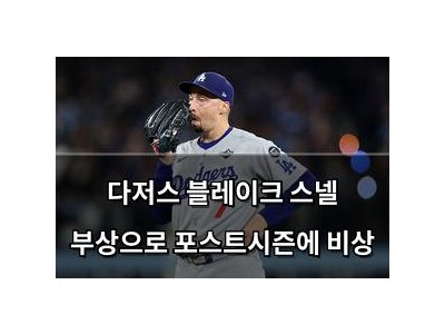 다저스 블레이크 스넬 부상으로 포스트시즌에 비상