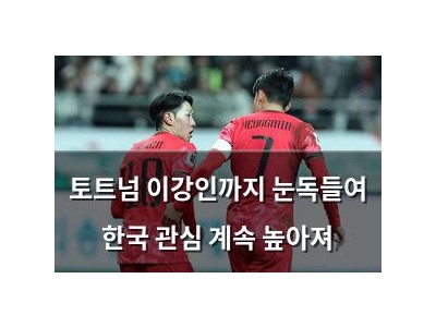토트넘 이강인까지 눈독들여 한국 관심 계속 높아져