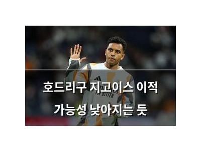 호드리구 지고이스 이적 가능성 낮아지는 듯