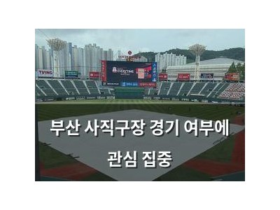 부산 사직구장 경기 여부에 관심 집중