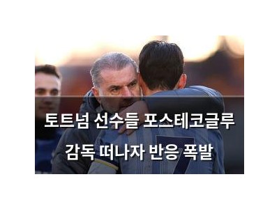 토트넘 선수들 포스테코글루 감독 떠나자 반응 폭발