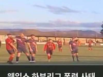 웨일스 하부리그 폭력 사태 선수 방출 경찰 수사 시작