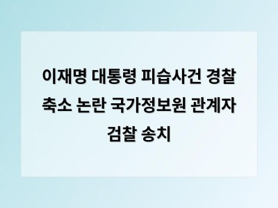 이재명 대통령 피습사건 국정원 조사 결과 검찰에 넘겨 정치적 논란 확산