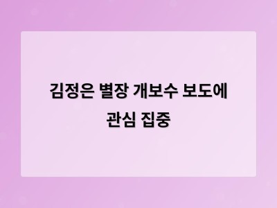 김정은 별장 개보수로 드러난 북한의 자금 여력과 경제 상황