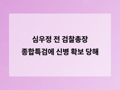 심우정 전 검찰총장과 전무곤 전 부장에 대한 신병 확보 조치가 이어짐