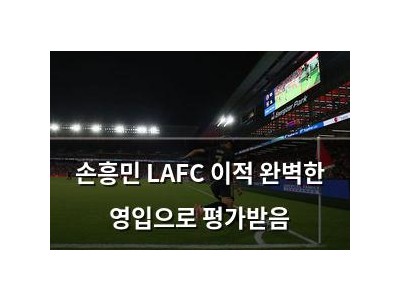 손흥민 LAFC 이적 완벽한 영입으로 평가받음