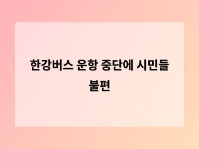 한강버스 운항 중단으로 시민들 발이 묶여 혼란